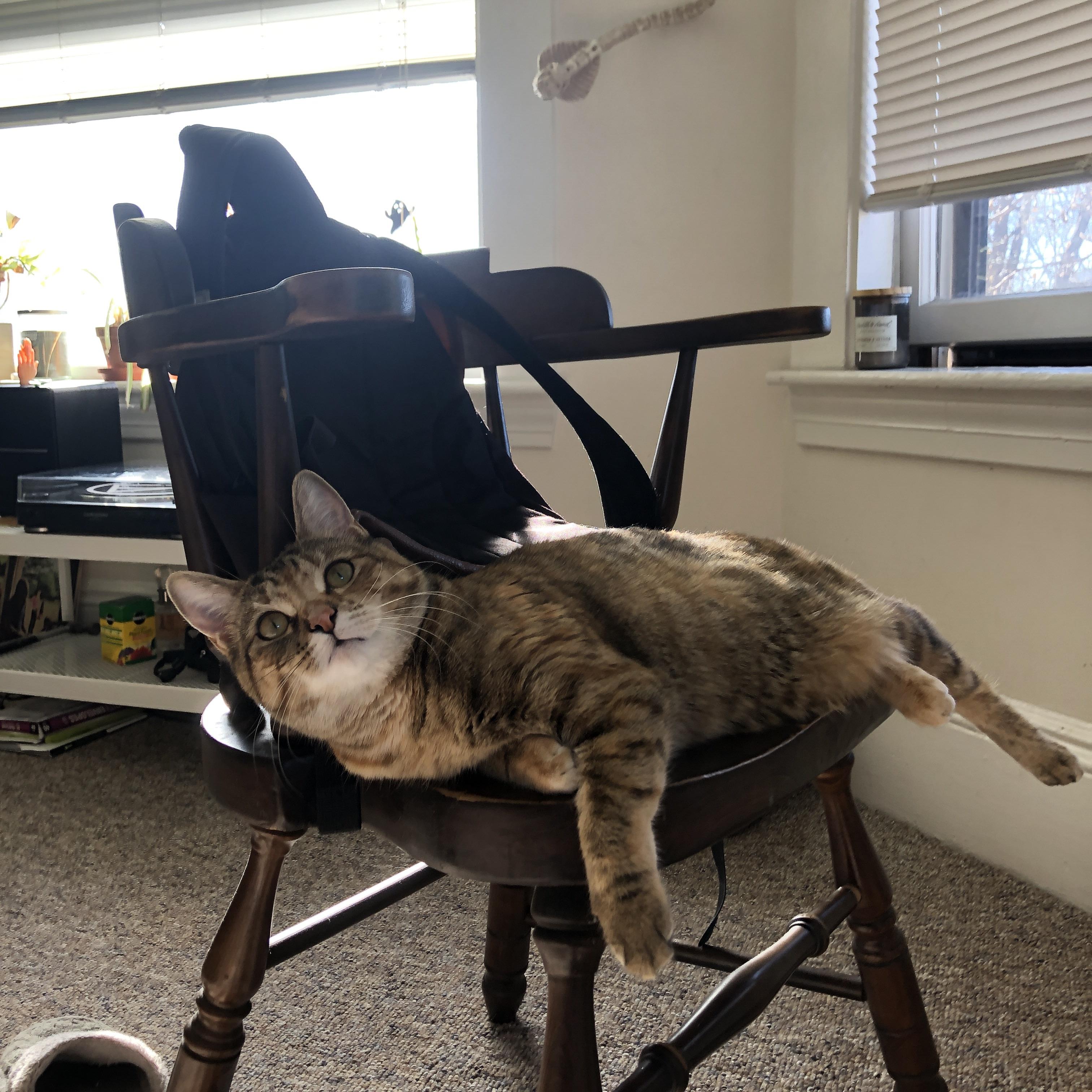 生死九分钟,阿什拉夫三度救主,谱写一场无法复制的绿茵神话