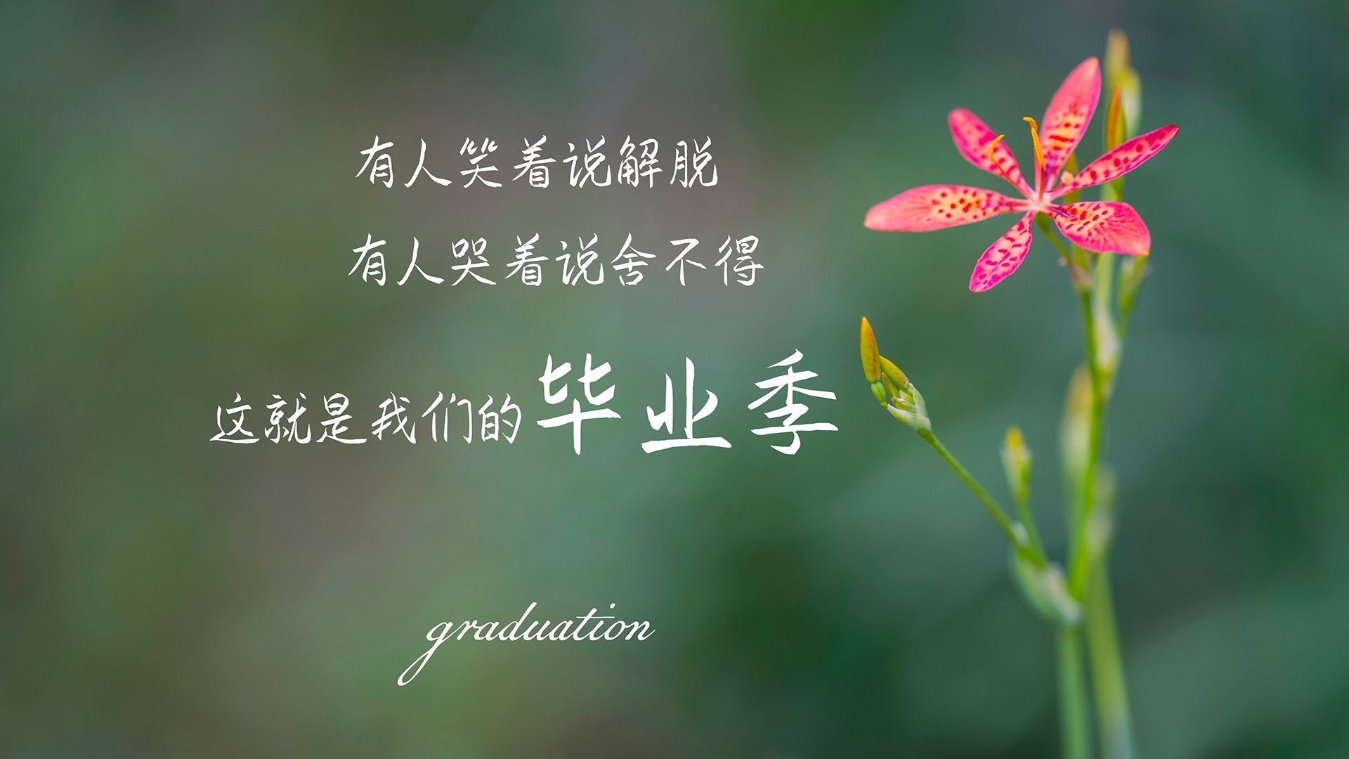 冰与火之歌,哈登带队破冰前行,广厦铁骑冲垮上海滩