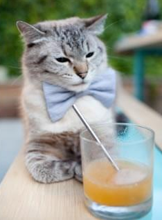 开云平台-双线告捷，骑士碾压开拓者，福克斯在德甲争冠战接管比赛