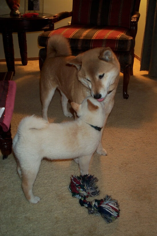 开云平台-伦纳德的掌心赛道，当F1狂飙之夜遇见篮球冷面时钟