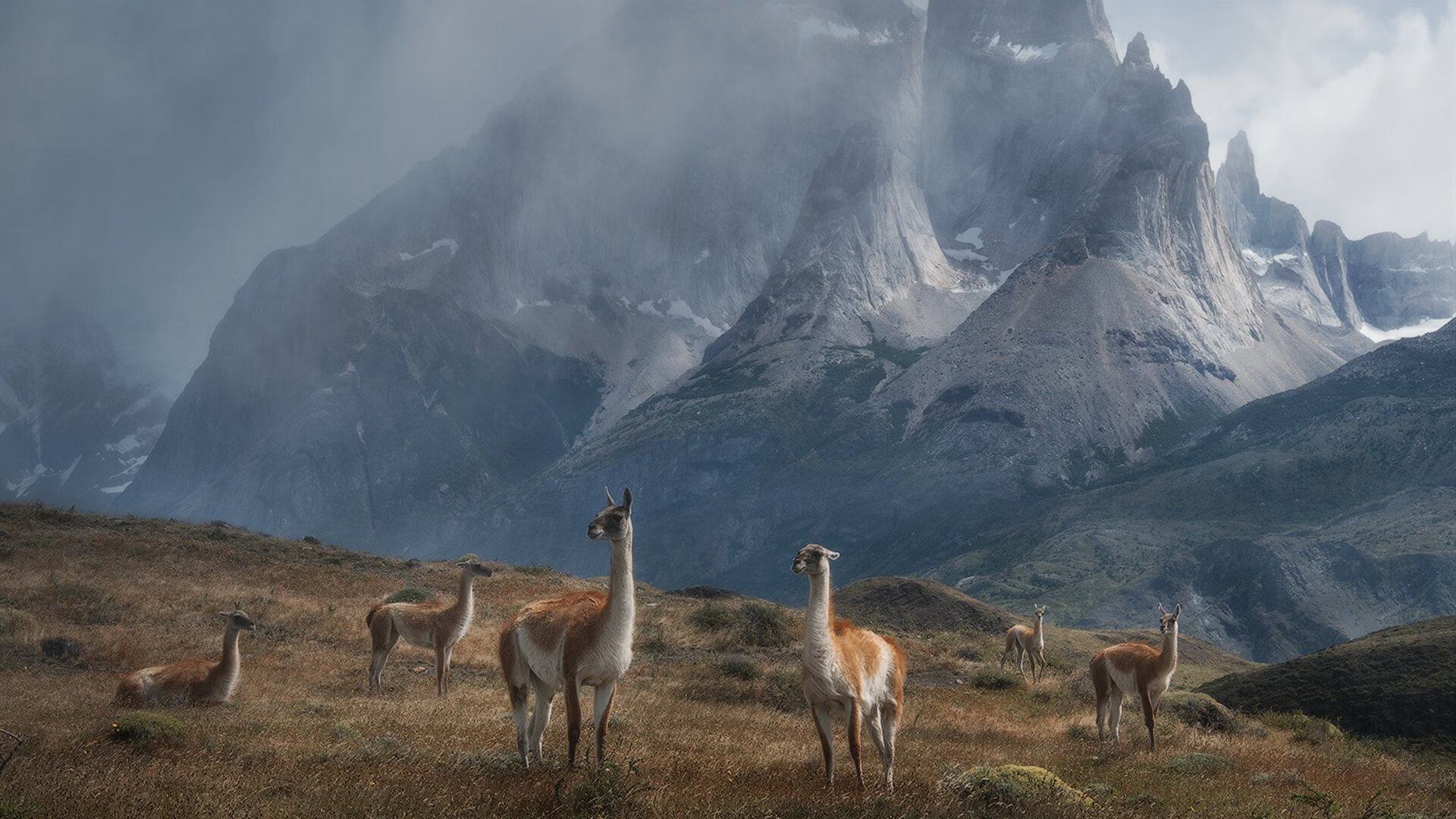 开云体育登录-末节19分导演逆转！西亚卡姆打出生涯代表作，猛龙客场惊险带走活塞