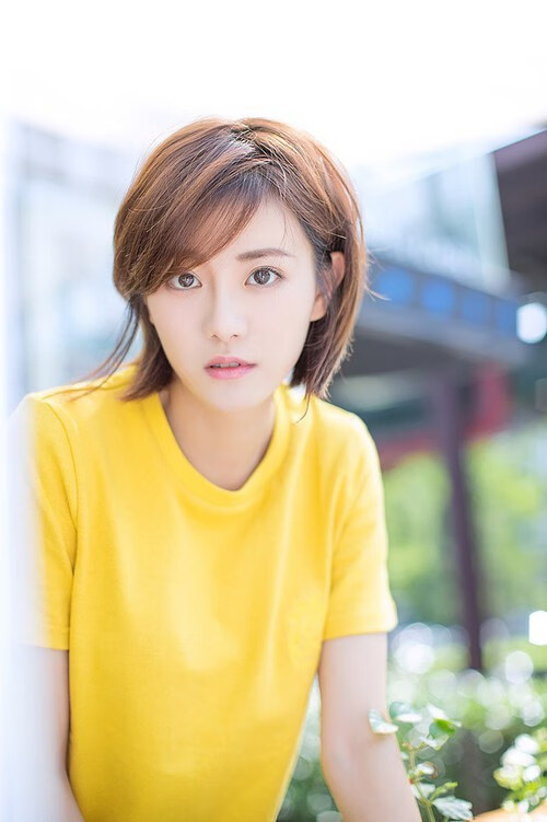 新大陆征服者,罗德里戈的爆发布局与秘鲁的印加防线如何锁死荷兰舰队