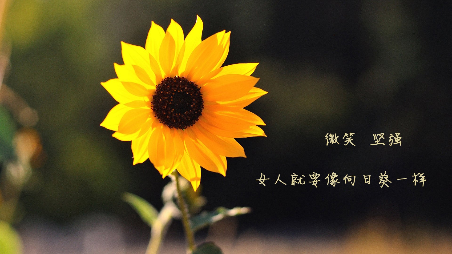 开云体育app-绝无仅有!杜兰特全场最佳无争议 勇士正面击溃热火彰显冠军底蕴