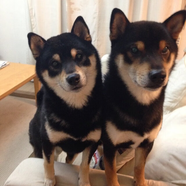 开云体育登录-从沙漠到绿茵圣殿,拉齐奥的全球冲击波与哈弗茨的欧冠封神夜