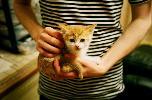 数据视野下的篮球破圈,恩比德、湖人战术与北京队的节奏密码