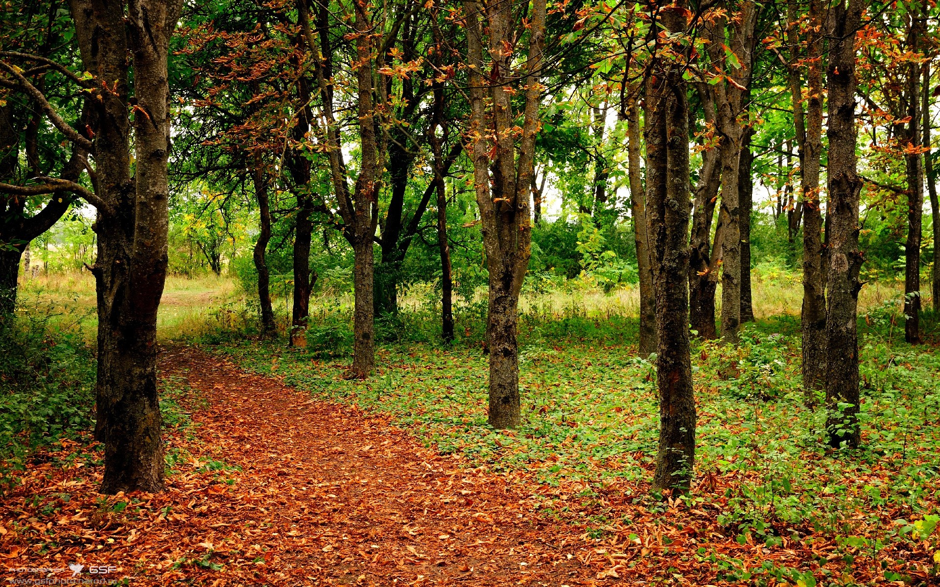 从轻取到接管，总冠军基因的隔空传承